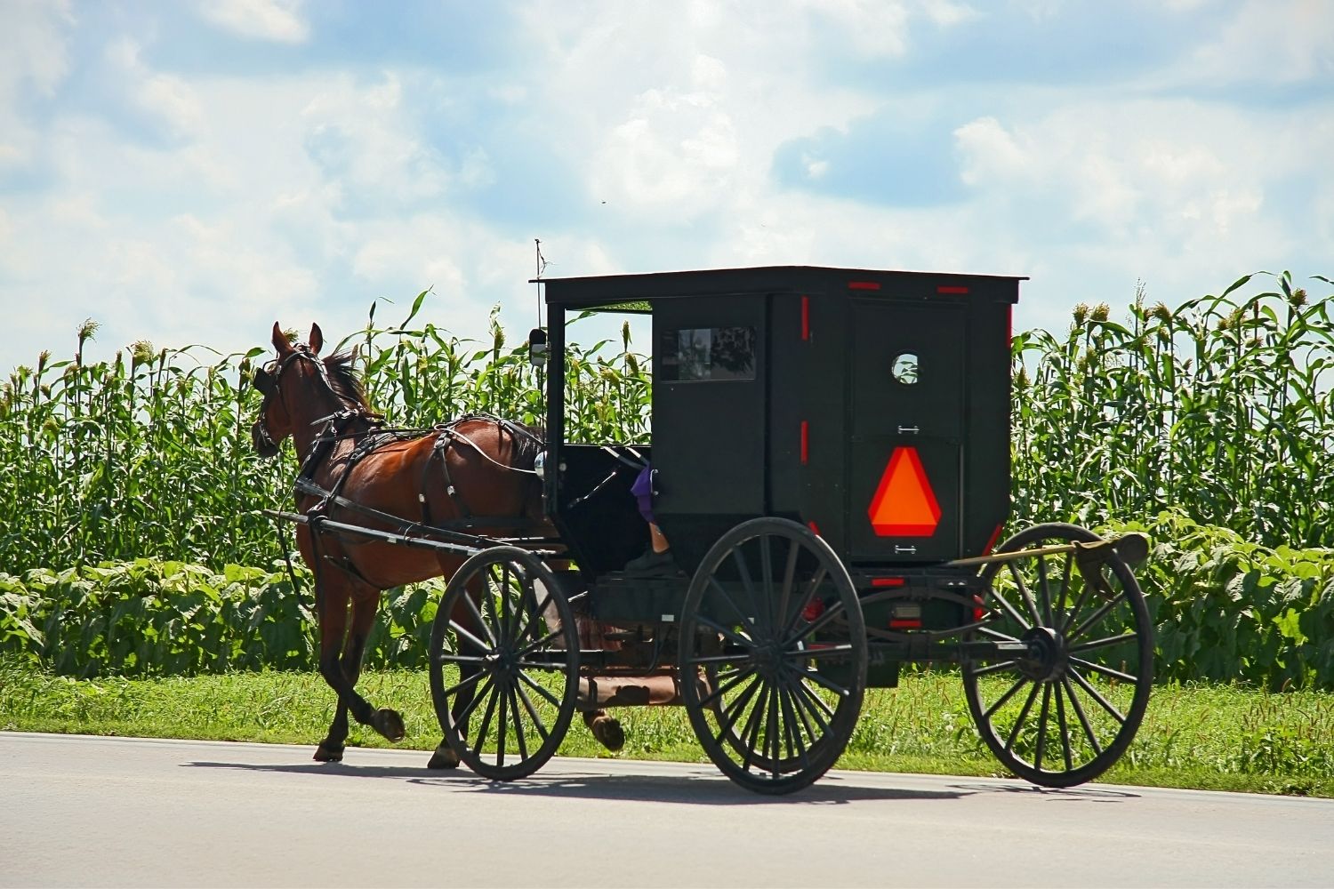 Amish Brown Bag Tour - Middlefield, OH - Sat., June 8, 2024